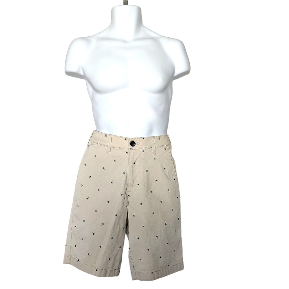 HOLLISTER MEN'S EPIC FLEX CLASSIC SHORTS SZ 28 - Picture 2 of 12